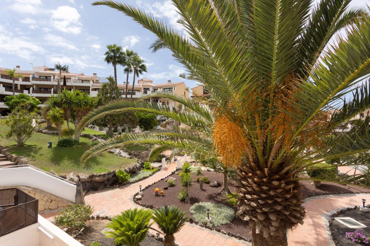 Oceanfront Tenerife South Abatros 254 Σαν Μιγκέλ ντε Αμπόνα Εξωτερικό φωτογραφία